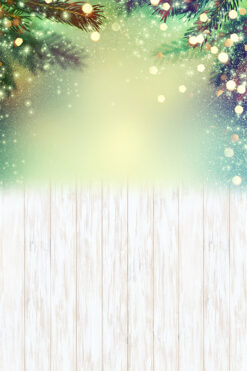 Vinylbaggrund jul køb hos Koldsø Fotografi / fotoprops.dk