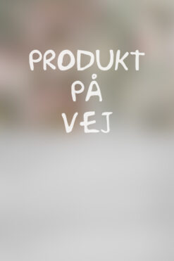 Produkt på vej
